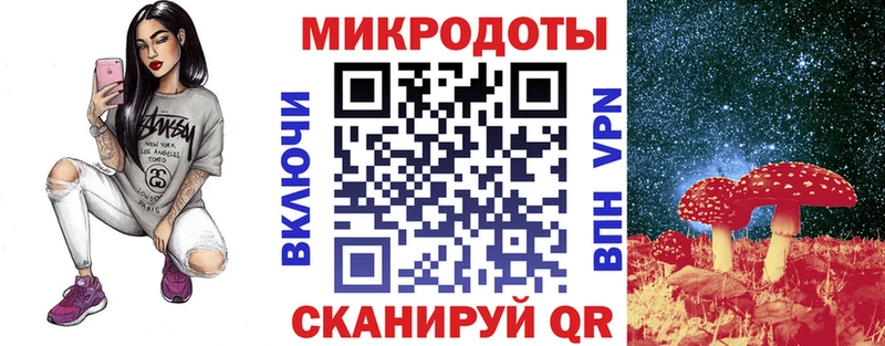 Галлюциногенные грибы Psilocybe  Северобайкальск 